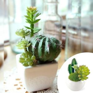 人工観葉植物 消臭アーティフィシャルグリーン サキュレントリフレリウム S タイプ２ （ 造花 フェイクグリーン インテリアフラワー ）