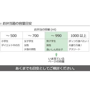 お弁当箱 2段 保冷バッグ付 タイトランチ 9...の詳細画像3