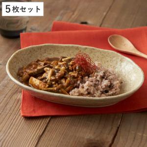 カレー皿 23cm 楕円 黄伊羅保 皿 食器 陶器 美濃焼 日本製 同色5枚
