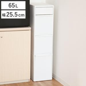 ゴミ箱 65L 3段 幅25.5cm 隙間で使える スイングストッカー （ ごみ箱 ダストボックス 65リットル 20L 25L 3分別 キッチン 省スペース スリム 隙間収納 ）