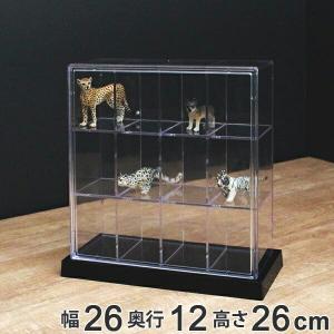 コレクションケース 88.3×28.3cm 壁掛け アクリルカバー パンフレット