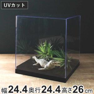 コレクションケース スクエア 12マス L12 卓上 クリアケース クリア