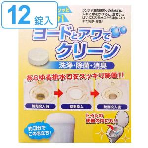 排水口 洗剤 ヨードとアワでクリーン 12個入り 排水溝 ヨード ヨウ素 除菌 消臭 （ 排水パイプ 排水管 クリーナー 錠剤 消臭剤 カビ におい 雑菌 ヌメリ ）