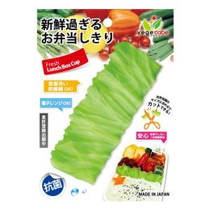 バラン ベジカベ 抗菌 お弁当用 ( レンジ対...の詳細画像2