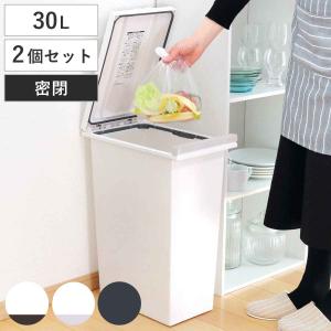 ゴミ箱 30L 同色2個セット 密閉プッシュペール エバン （ ごみ箱 30リットル ニオイ漏れ 防止 密閉 スリム シンプル 分別 ワンタッチ パッキン EBAN ）