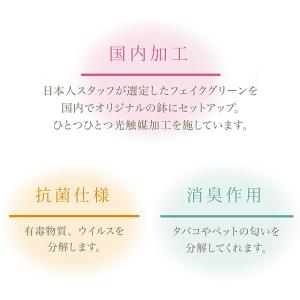 人工観葉植物 モンステラ 19cm フェイクグ...の詳細画像4