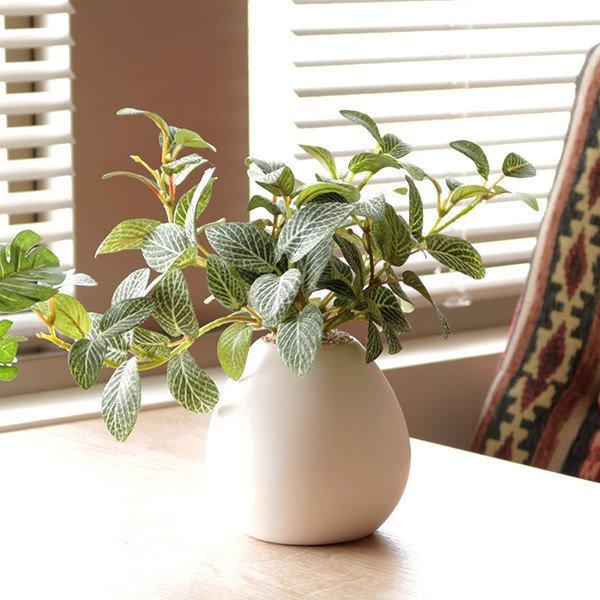 人工観葉植物 フィットニア 18cm フェイクグリーン 造花 光触媒 （ ミニ 卓上 人工植物 フェ...