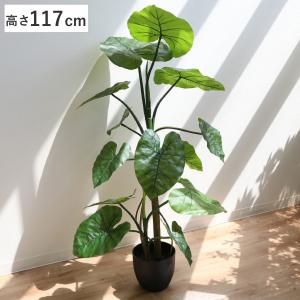人工観葉植物 クワズイモ 117cm フェイクグ...の商品画像