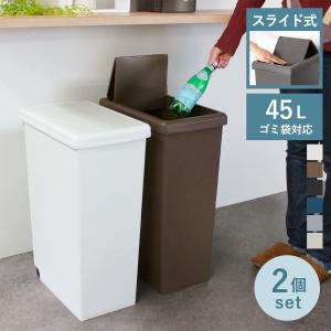 ゴミ箱 45L 同色2個セット スライドペール 無地 ふた付き （ ごみ箱 45リットル スリム スライド蓋 キッチン 分別 縦型 2個 まとめ買い セット ）