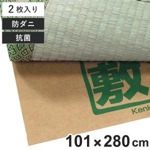 敷紙 健康敷紙3帖 101×280cm 2枚入 ...の商品画像