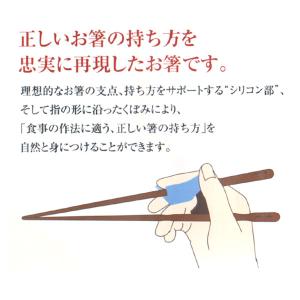 トレーニング箸 23cm きちんと箸 大人用 ...の詳細画像1