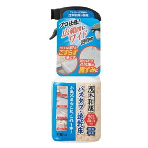 LEC（レック） 洗剤 茂木和哉 おふろのなまはげ 水アカ・皮脂汚れ用