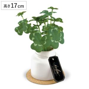 フェイクグリーン クローバー S 人工観葉植物 エクリア （ ミニ 観葉植物 造花 CT触媒 ）