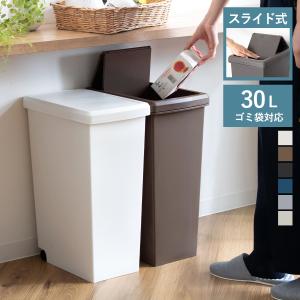 ゴミ箱 30L スライドペール 無地 ふた付き （ ごみ箱 30リットル スライド 蓋つき プラスチック キャスター ）