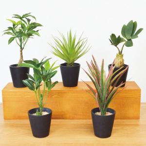 フェイクグリーン ブラックポットTS 光触媒 （ 人工観葉植物 インテリアグリーン 観葉植物 おしゃれ リアル 室内 消臭 抗菌 ）｜livingut