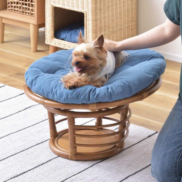 ペットスツール クッション付 籐フレーム 約幅55cm （ ラタン製 ペット用 椅子 チェア ベッド...
