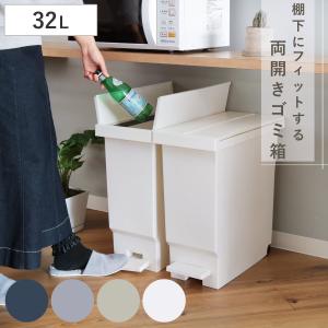 ゴミ箱 32L バタフライペダルペール ふた付き （ 45Lゴミ袋対応