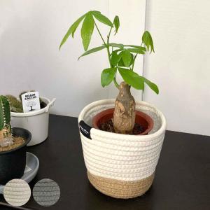 Disney（ディズニー） フラワーポット ミッキーポット （ ガーデン