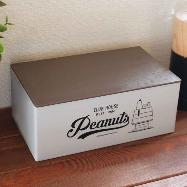 マスク 収納ケース スヌーピー ヒトハコマスクケース GR×D-hou （ マスクケース マスク入れ...