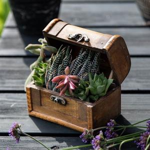 Disney（ディズニー） プランター CAR ミッキーマウス＆ミニーマウス