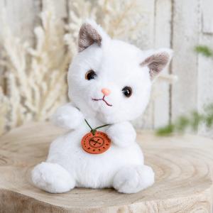 しろみちゃんの白い猫 しろねこハウスの美ねこ | ガラスの上で寝そべっているキュー