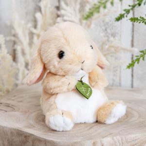ぬいぐるみ potte ロップイヤー （ ヌイグルミ 動物 小動物 雑貨