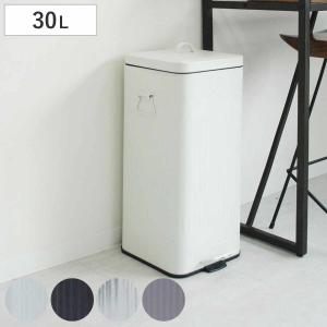 ゴミ箱 30L Galva ペダル式 （ ごみ箱 30リットル ペダルペール 幅27 分別 角型 ふた付き スリム スチール レトロ バケツ型 ダストボックス ）｜livingut