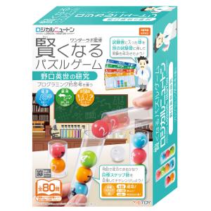 ピグマリオン　知育玩具セット 幼児から小学生向け　hamakids ピグマリオン幼児家庭学習の口コミ】新2才児のさんすうから受講した