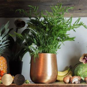 ROYAL COPENHAGEN（ロイヤルコペンハーゲン） ブルーフルーテッド メガ