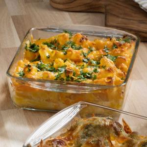 グラタン皿 スクエア 21cm ボルジャム ミディ 耐熱ガラス （ 食洗機