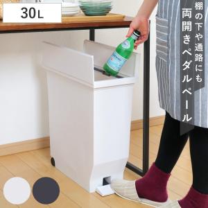 ゴミ箱 30L エバン 両開きペダルペール ( ...の商品画像