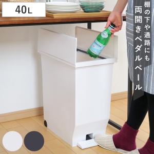 ゴミ箱 40L エバン 両開きペダルペール ( ...の商品画像