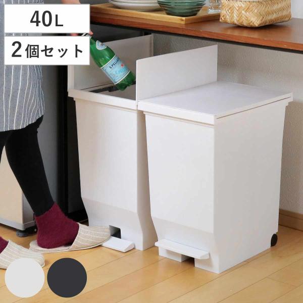 ゴミ箱 40L 同色2個セット エバン 両開きペダルペール （ 45リットルゴミ袋対応 40リットル...