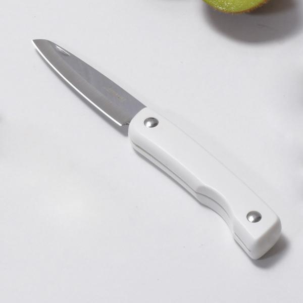 果物ナイフ Simple use 折込式フルーツナイフ （ ペティナイフ 果物包丁 小型包丁 洋包丁...