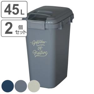 ゴミ箱 45L 同色2個セット ハンドル付き ジ...の商品画像