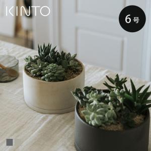 数量限定／多肉植物 寄せ植え 『G』観葉植物 ギフト 鉢 インテリア