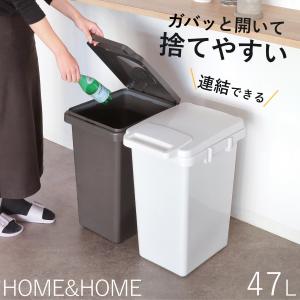 ゴミ箱 40L 2分別 キープクリーン セパラ （ ごみ箱 40リットル 分別