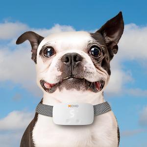 しつけ 首輪 DOGTRA ドクトラ iQ ノーバーク 送料無料 犬 トレーニング
