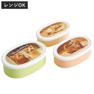 スケーター 弁当箱 保存容器 430ml 食洗機対応 タイトウェア ウッド