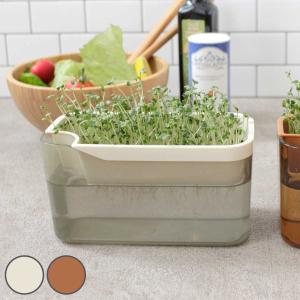 栽培キット ベジマジ そだてる ( 室内 日本製...の商品画像