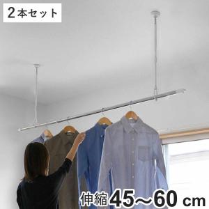 室内物干し 吊下げ型室内物干 長さ45cm〜60cm 伸縮 2本セット （ 部屋干し 吊り下げ 天井 ）｜livingut