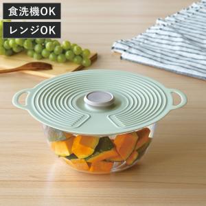 ホルムガード スカーラ ストレージジャー 1000ml 1L 保存瓶 ガラス容器