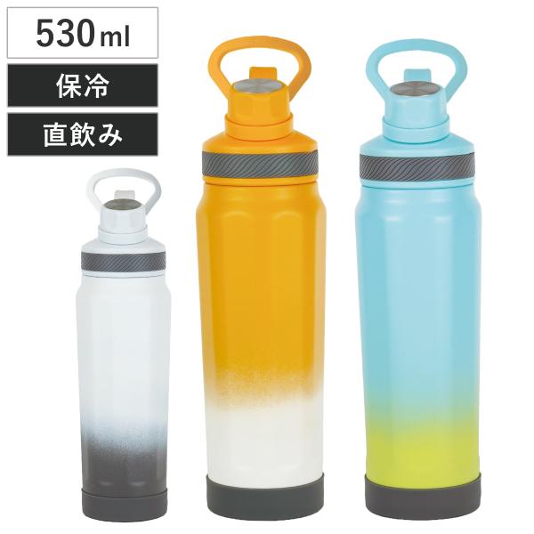 水筒 530ml フォルテック キャリングボトル （ ボトル 保冷 保冷専用 直飲み ハンドル付き ...