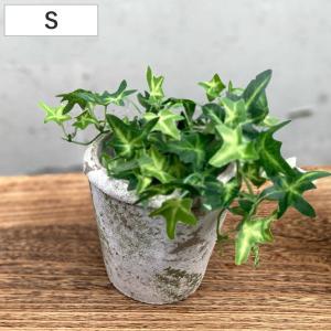 プランター FR円錐 S 直径37×高さ48.5cm （ 植木鉢 プラントポット