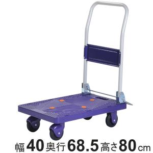 台車 樹脂製台車 2段 静音 150kg （ 丈夫 運搬 荷物 耐荷重150kg 二段