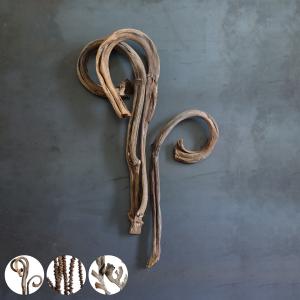 ドライフラワー CASTO ( バナナスティック...の商品画像