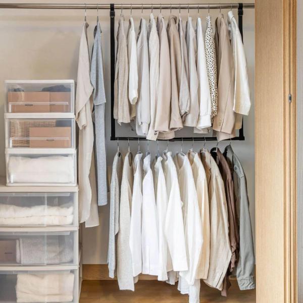 ハンガー 吊り下げハンガー クローゼット 収納 幅46〜80×高さ最大100cm （ 伸縮 2段ハン...