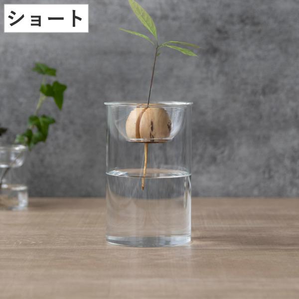 花瓶 BULB VASE 水栽培ガラスベース ショート 水耕栽培 （ 花器 ガラス おしゃれ フラワ...