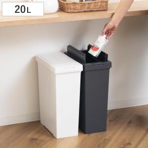 ゴミ箱 20L 棚下で使える 両開き プッシュダスト 袋止め付き （ ごみ箱 20リットル 棚下 手で開ける ふた付き 便利 シンプル 日本製 ）