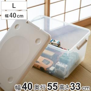 天馬 収納ボックス 幅39×奥行53×高さ24.3cm ロックス 530M